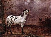 The Spotted Horse paulus potter